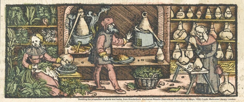 Barbara Boeck (ILC) escribe sobre los logros médicos de la antigua Mesopotamia y el conocimiento farmacéutico de los herboristas asirios y babilonios.