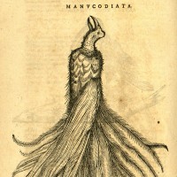 Se defiende una nueva tesis doctoral dirigida desde el Instituto de Historia