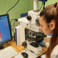 Doce alumnos de Palma de Mallorca son ‘científicos en prácticas’ por una semana