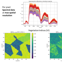 Defensa pública de la Memoria Anual del proyecto Assessing remote and proximal sensing methods for estimating biophysical variables at different spatial resolutions (MOMENTUM-CSIC)