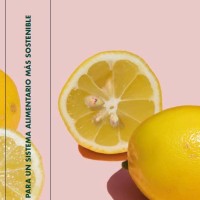 El 'Libro Verde' que propone un plan de acción para una alimentación sostenible y justa