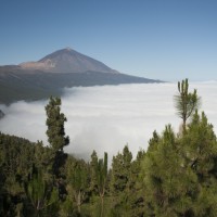 La principal amenaza de los Parques Nacionales, los incendios forestales