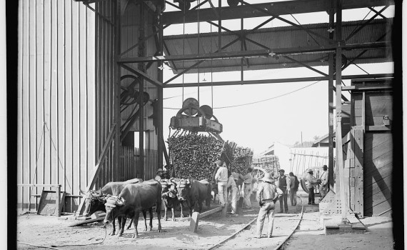 Commodities of Empire