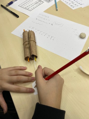 Descubre el mundo de los papiros