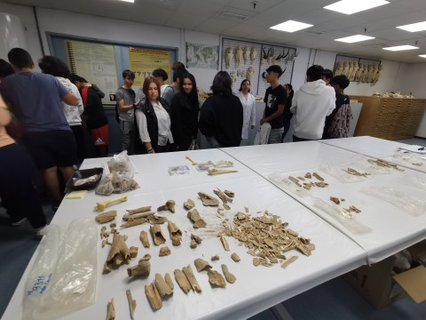 Estudiantes del IES Avda de Toreros visitan el CCHS