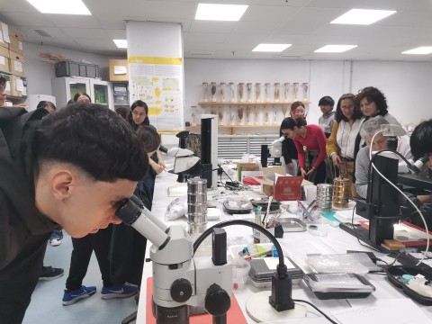 Laboratorio de Arqueobiología