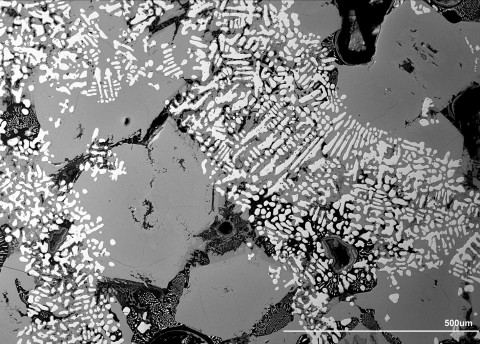 Lo mostrado por el microscopio con mucho aumento