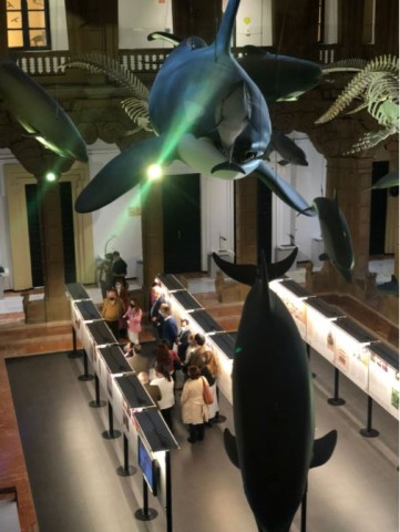 La exposición 'La esclavitud y el legado cultural de África en el Caribe' viaja a Sevilla