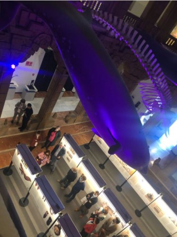 La exposición 'La esclavitud y el legado cultural de África en el Caribe' viaja a Sevilla