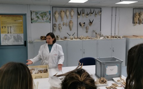 En el Laboratorio de Arqueobiología escuchando las explicaciones de Marta Moreno