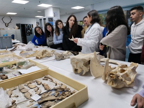 Visita al Laboratorio de Arqueobiología