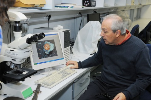 Ignacio Montero explica lo que el microscopio enseña