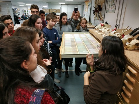 Visita al laboratorio de arqueobiología