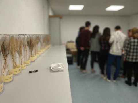 Visita al laboratorio de arqueobiología