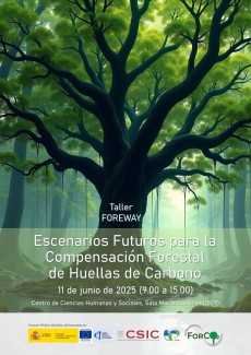 Taller FOREWAY: "Escenarios Futuros para la Compensación Forestal de Huellas de Carbono"